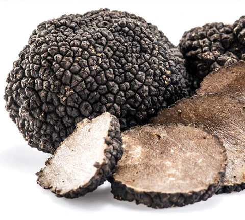 Black Truffle - Exfoliating Mud Mask