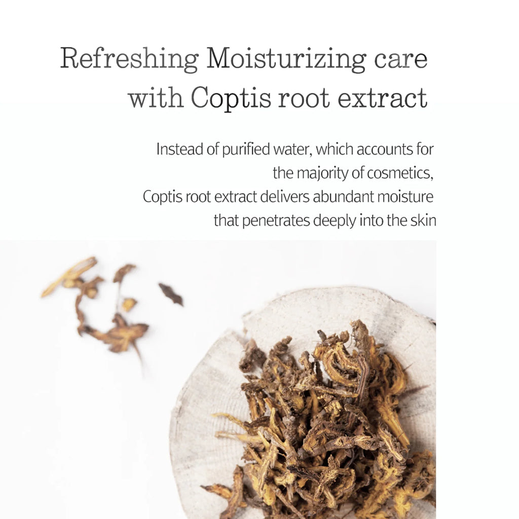 Moisture Cream 100ml